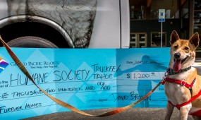 humane society