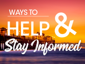 ways to help and stay informed