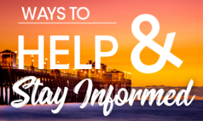 ways to help and stay informed