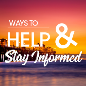 ways to help and stay informed