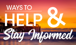 ways to help and stay informed