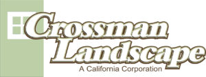 Crossman Logo