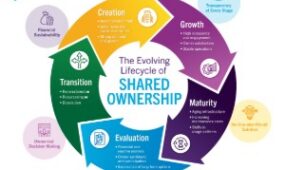 Timeshare Lifecycle thumbnail